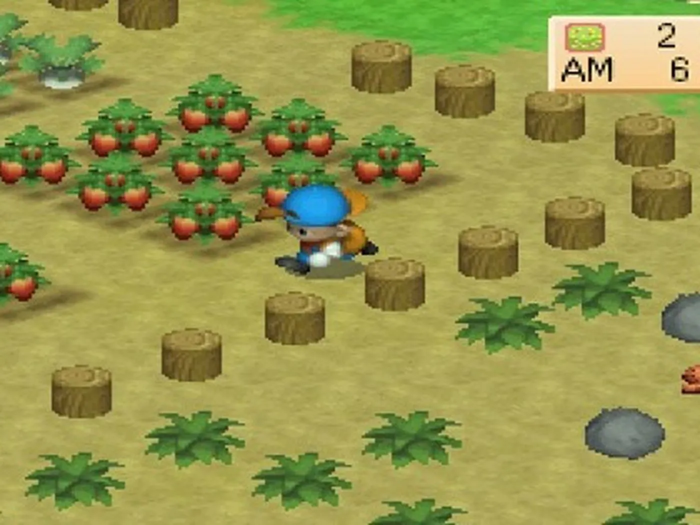 Harvest Moon PS1 có sự khác biệt